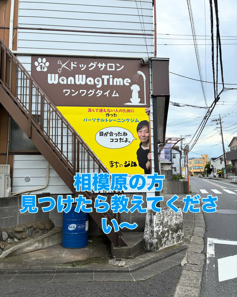 ブログ画像