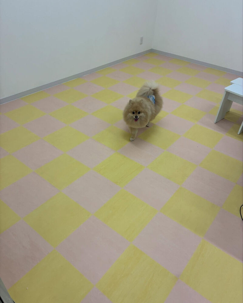 ブログ画像