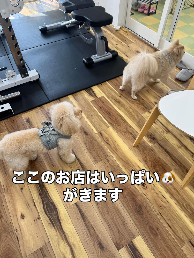 ブログ画像